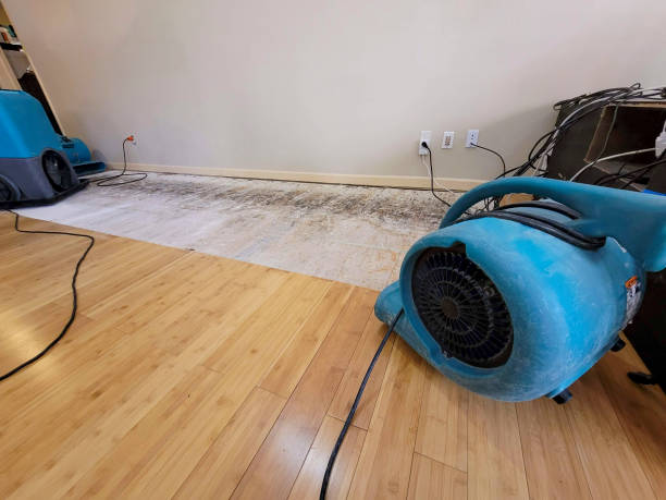 Professional Water Damage Repair technician working in Elkmont, AL